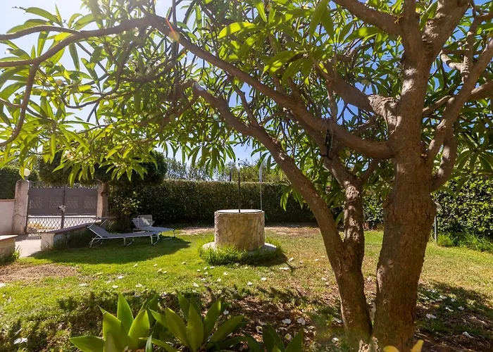Nice To Stay, Holiday Home